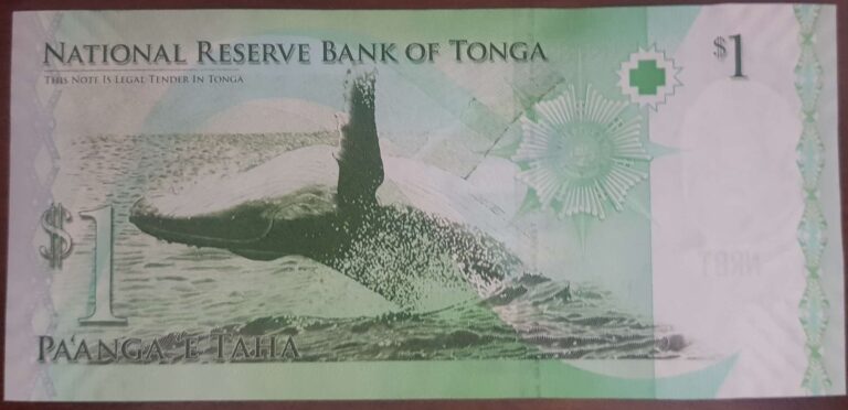 1 Paanga 2009 - obrazek 2