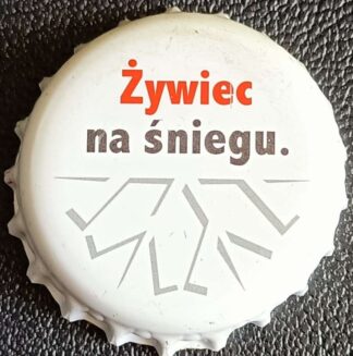 piwo