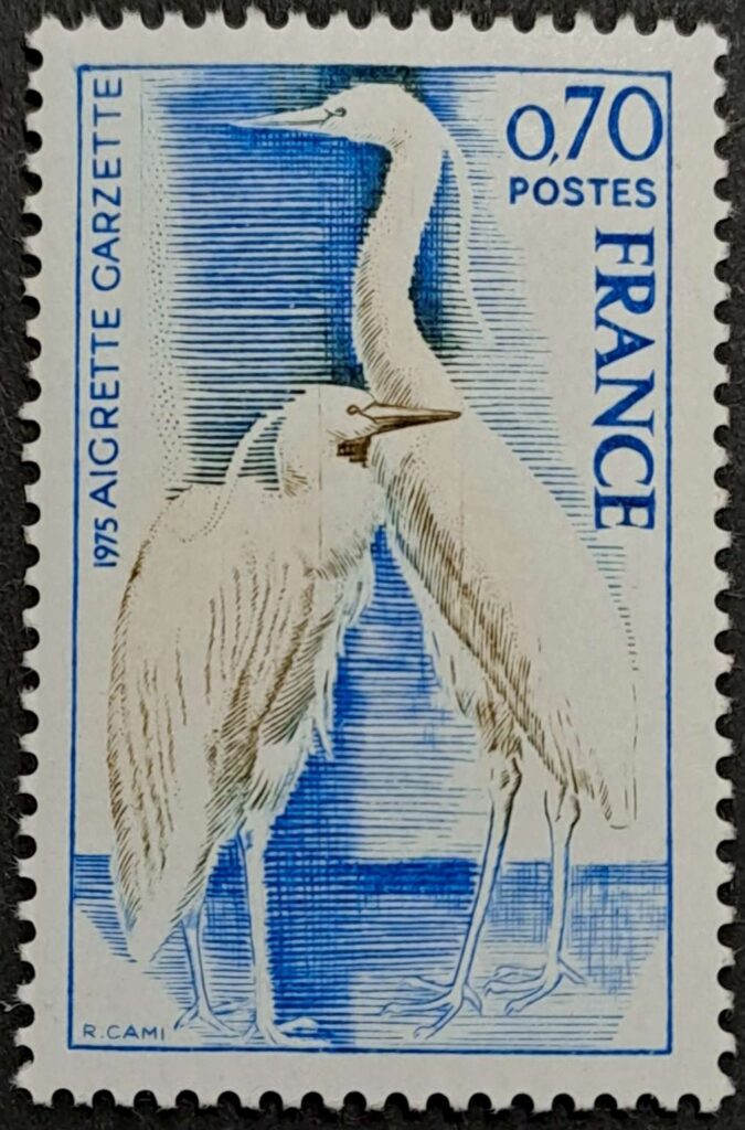 1904