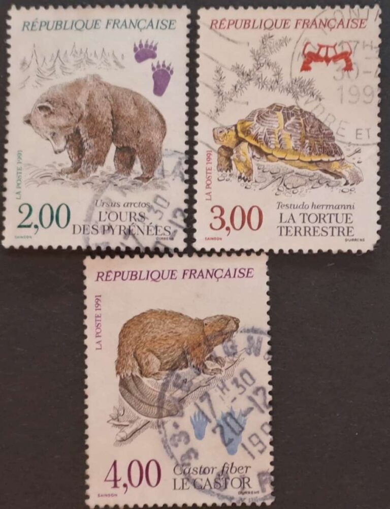 2853-2856