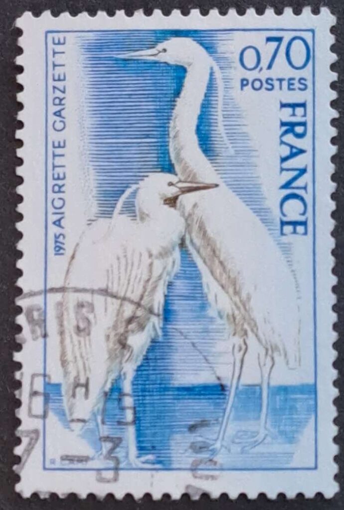 1904 - obrazek 2