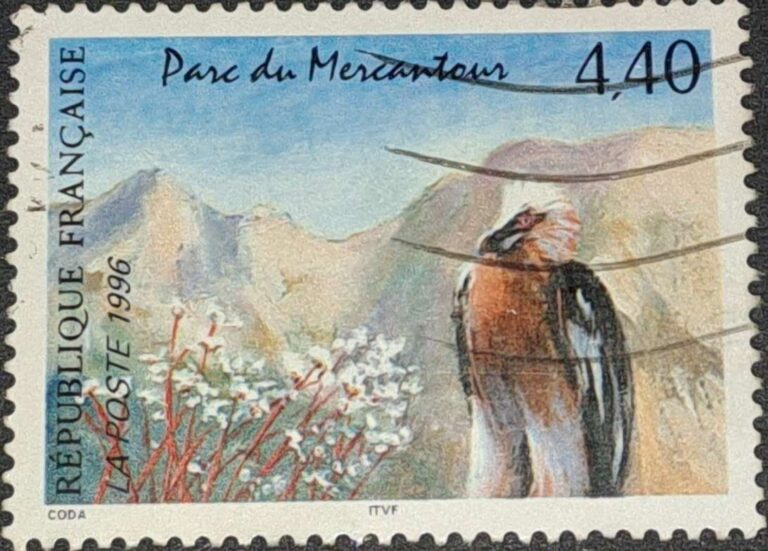 3145-3147 - obrazek 2