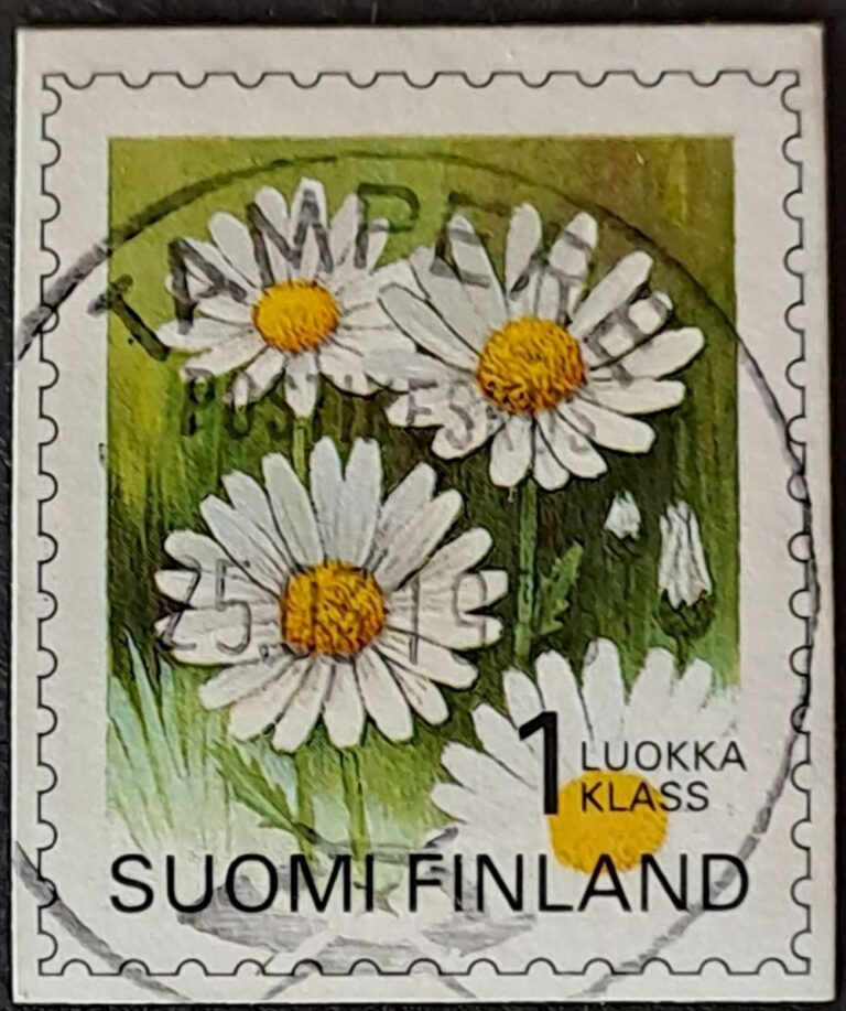 Tampere - obrazek 9