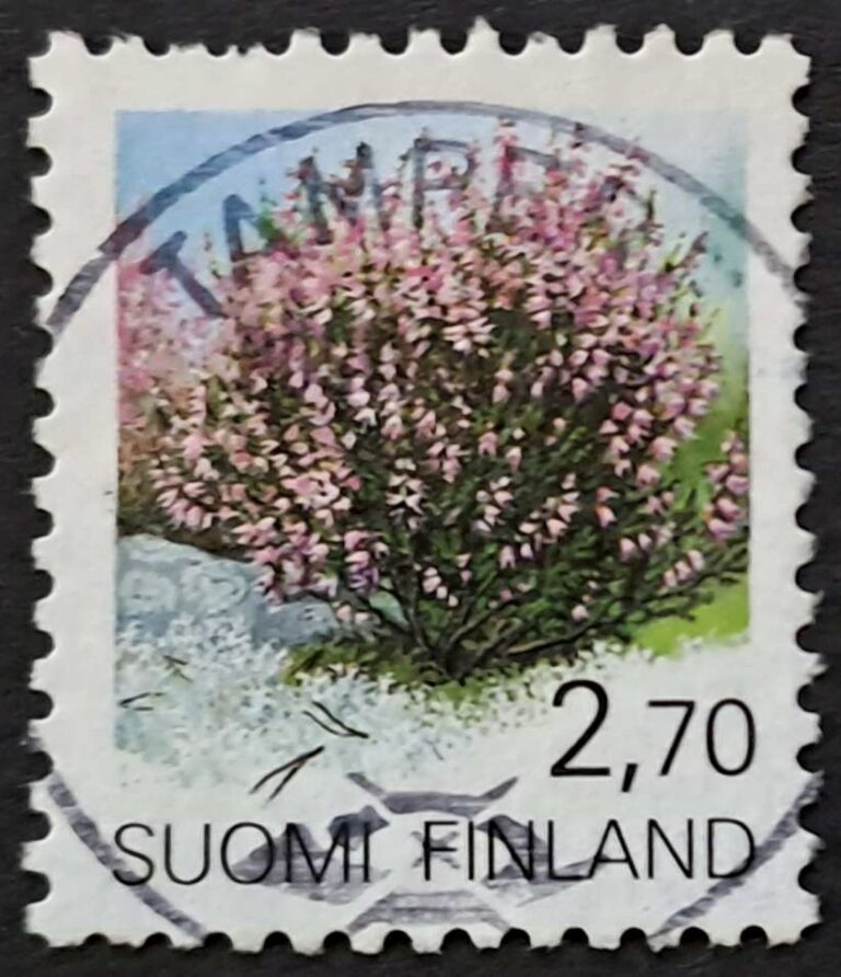 Tampere - obrazek 8
