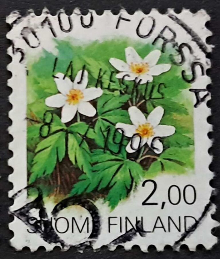 Forssa - obrazek 3