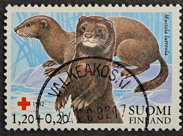 Valkeakoski