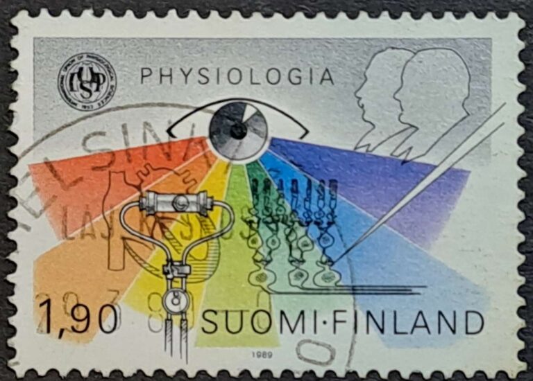 Helsinki - obrazek 15