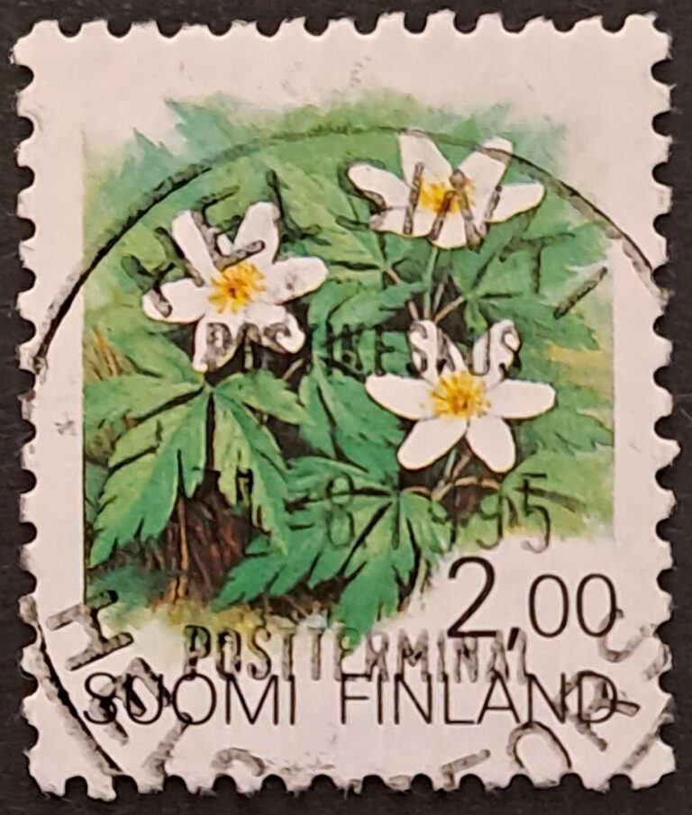 Helsinki - obrazek 16