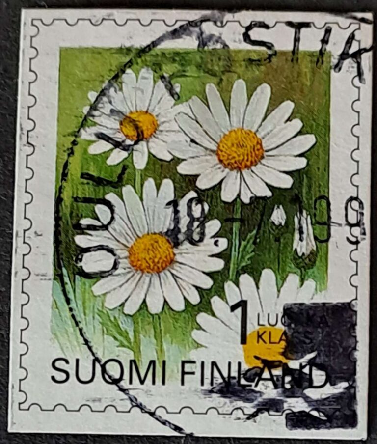 1296