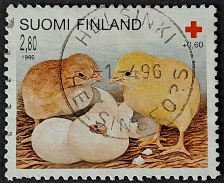 Helsinki - obrazek 21