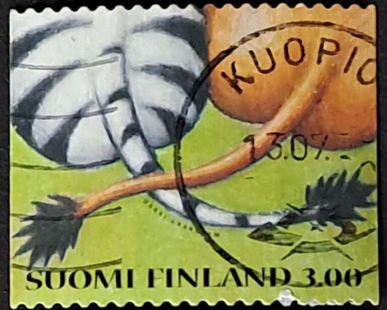 Kuopio - obrazek 7