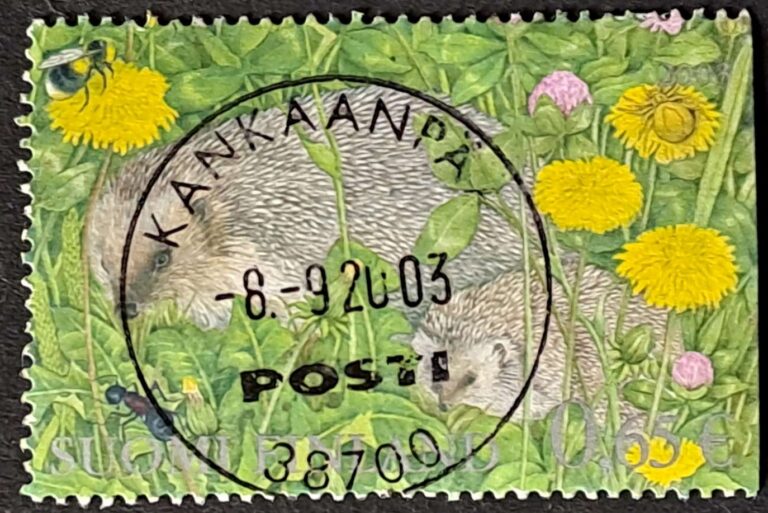 Kankaanpää - obrazek 2