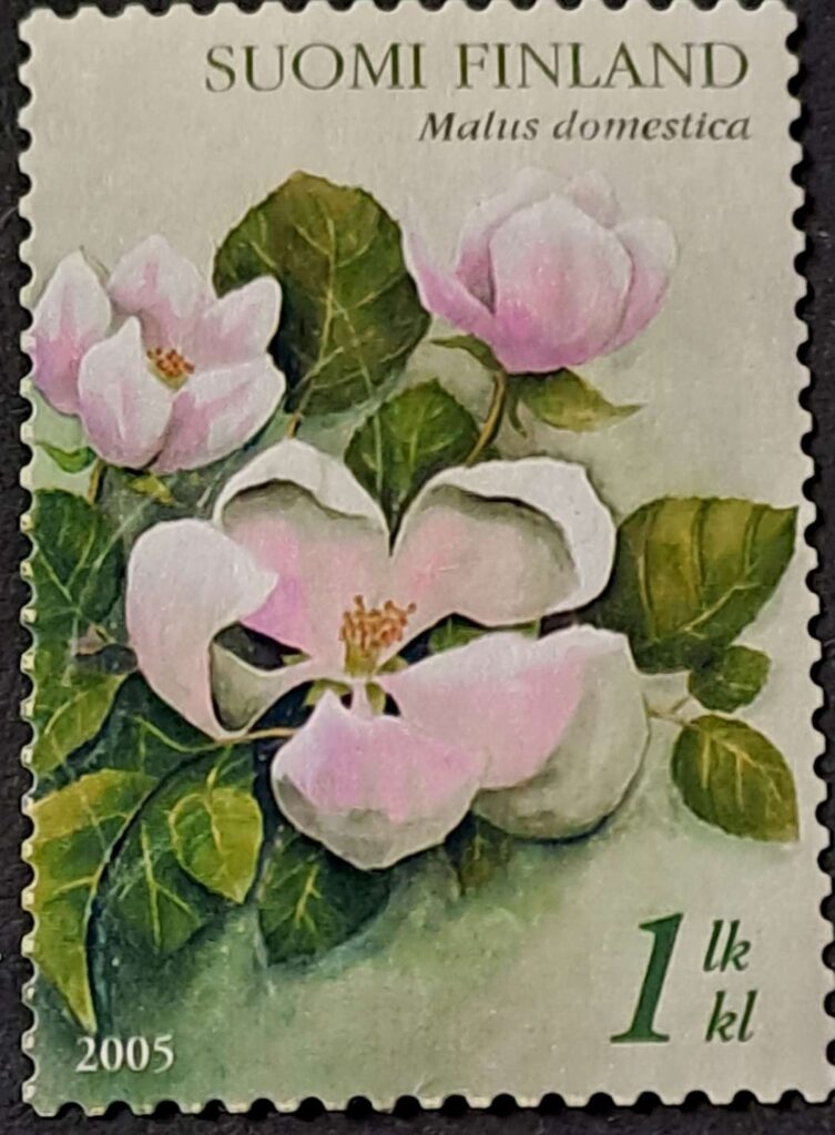 1744