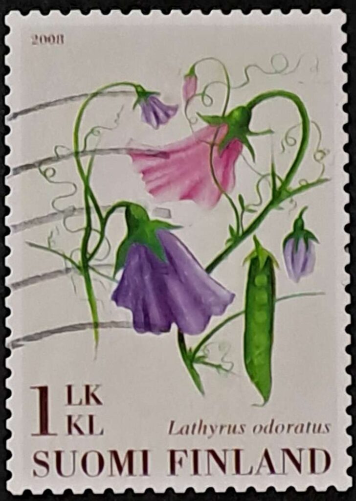 1903