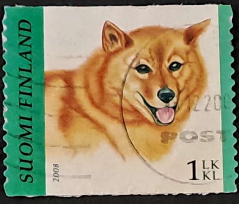 1929-1934