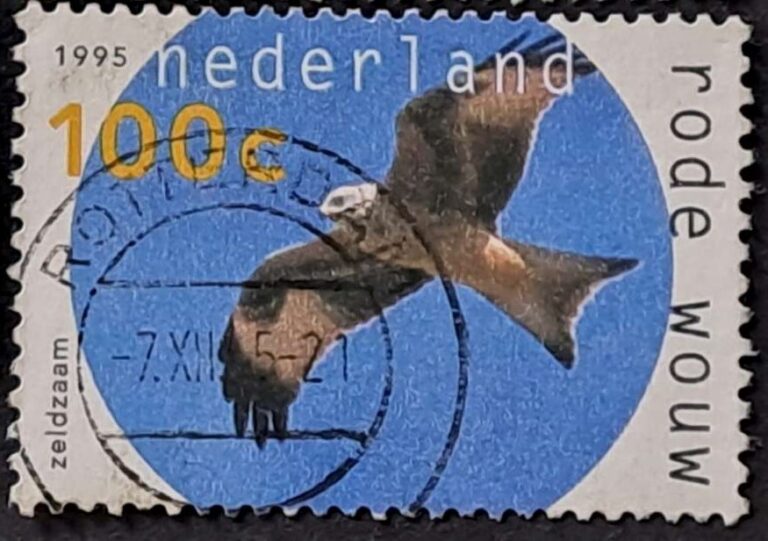 Rotterdam - obrazek 2