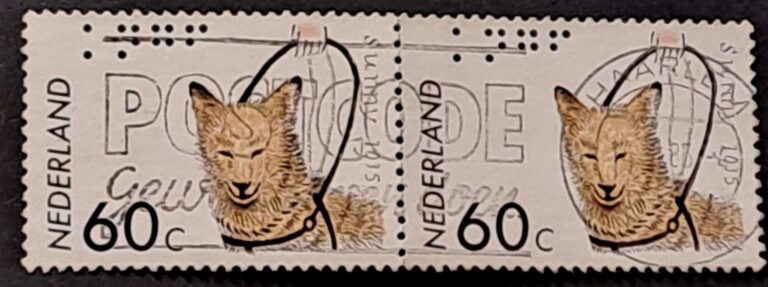 1263 - obrazek 3