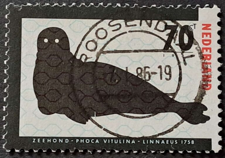 1279-1280 - obrazek 3