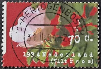 's-Hertogenbosch