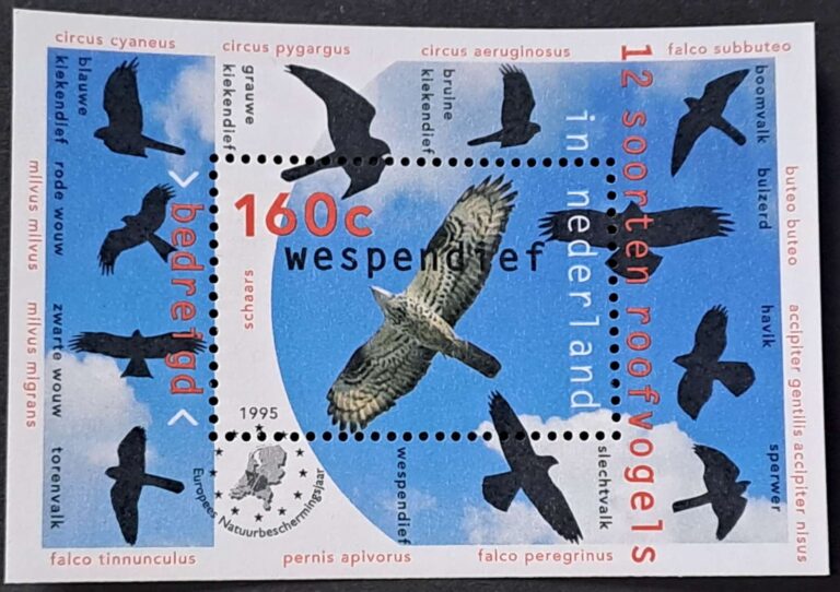 1549-1551 1552 blok44 - obrazek 2