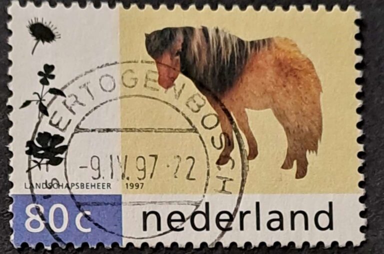 's-Hertogenbosch - obrazek 2