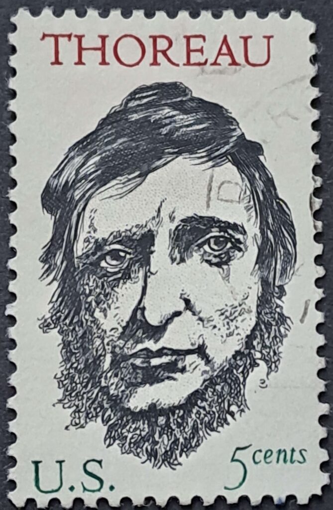 925 - obrazek 2