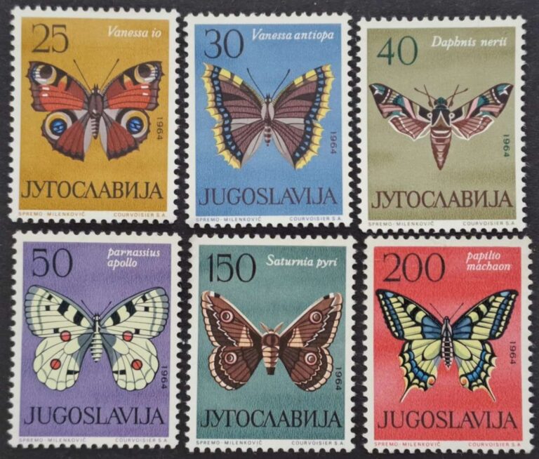 1069-1074