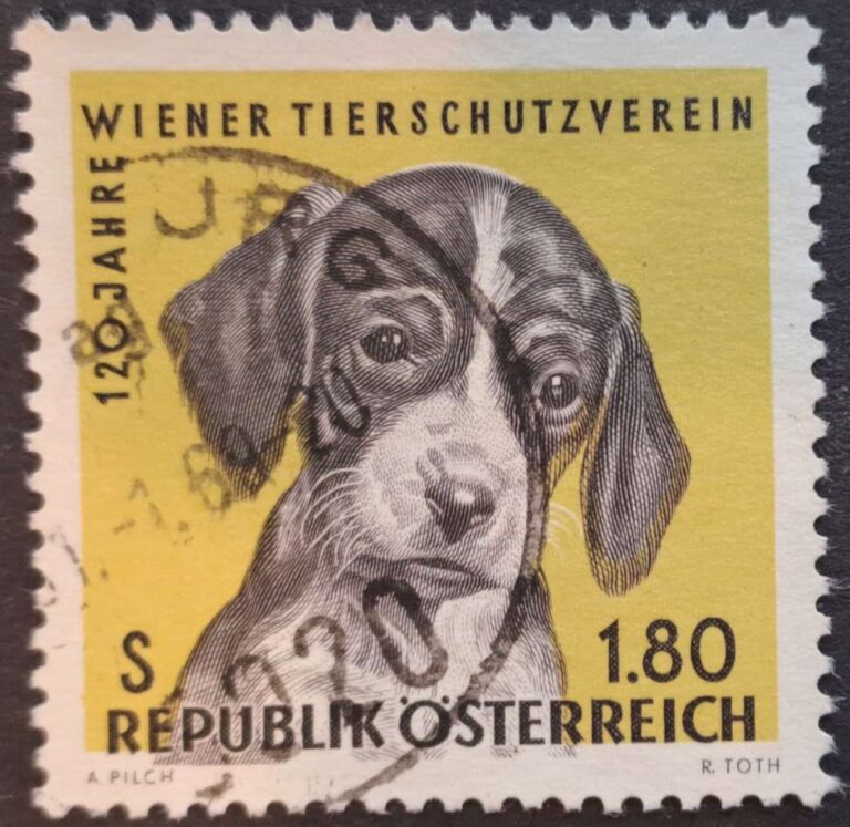 1208 - obrazek 2
