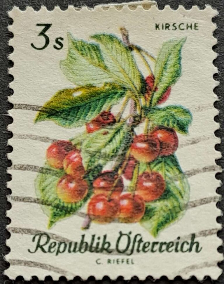 1223-1228 - obrazek 2